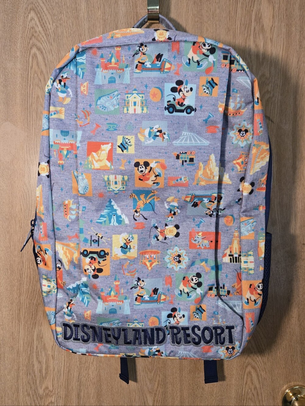 DisneyLand Resort Large 21 inch Backpack